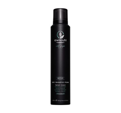 Paul Mitchell Awapuhi Dry Shampoo Foam 195ml